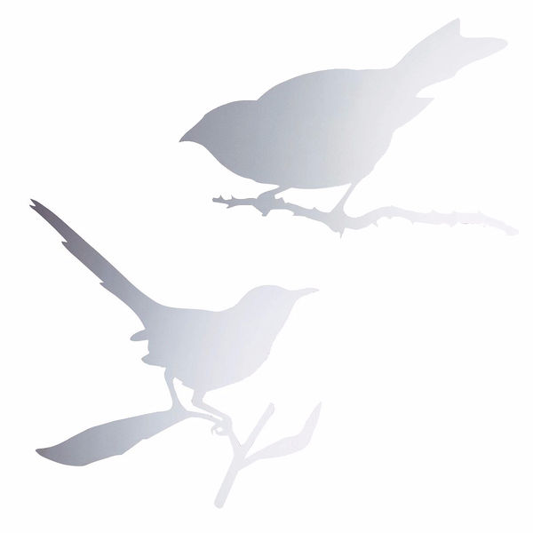 Taylor, Snijder Bird by Driade Complements