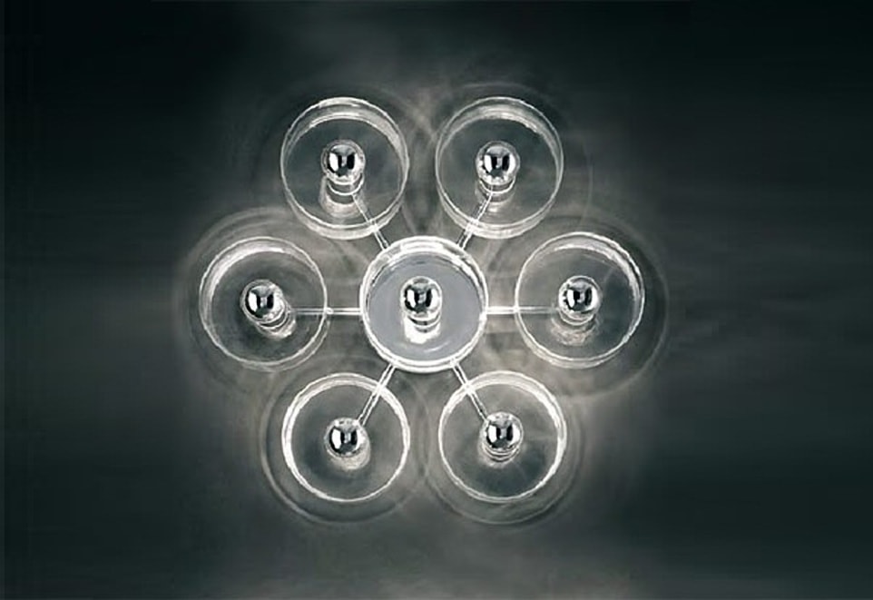 Fiore Wall Lamp by Oluce Lamps
