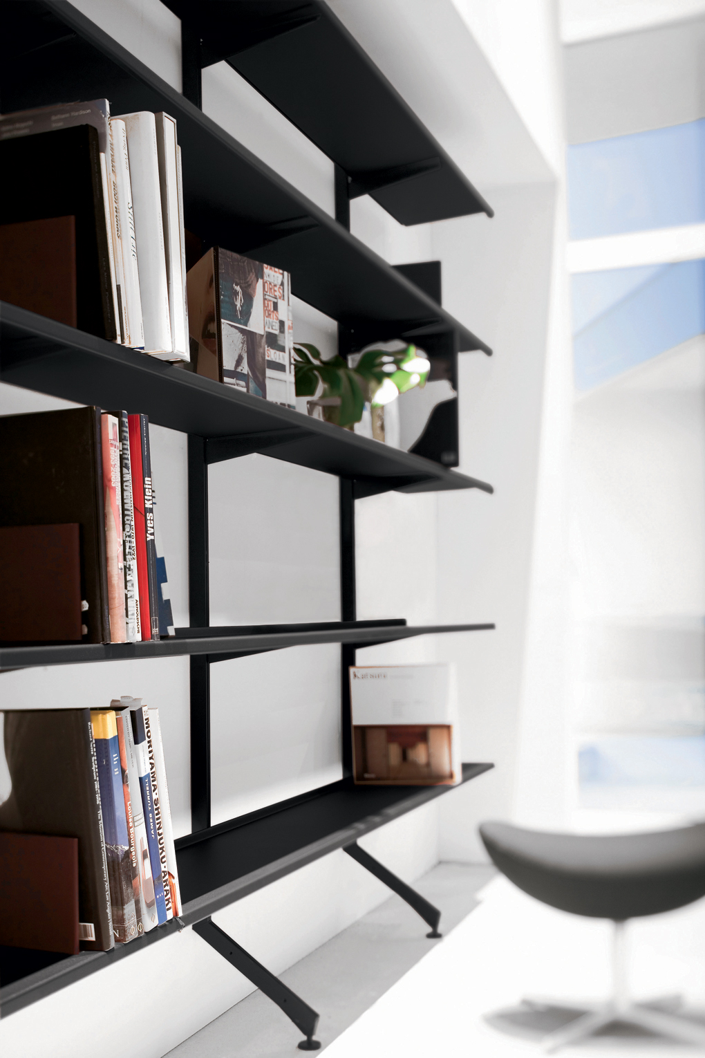 Continua Wall Mounted BookCase by Pallucco Accessories