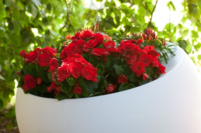Uovo di Colombo Outdoor Planters by Serralunga Planters Round