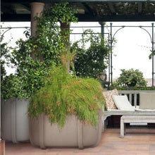 Cassero Outdoor Planters by Serralunga Planters Round