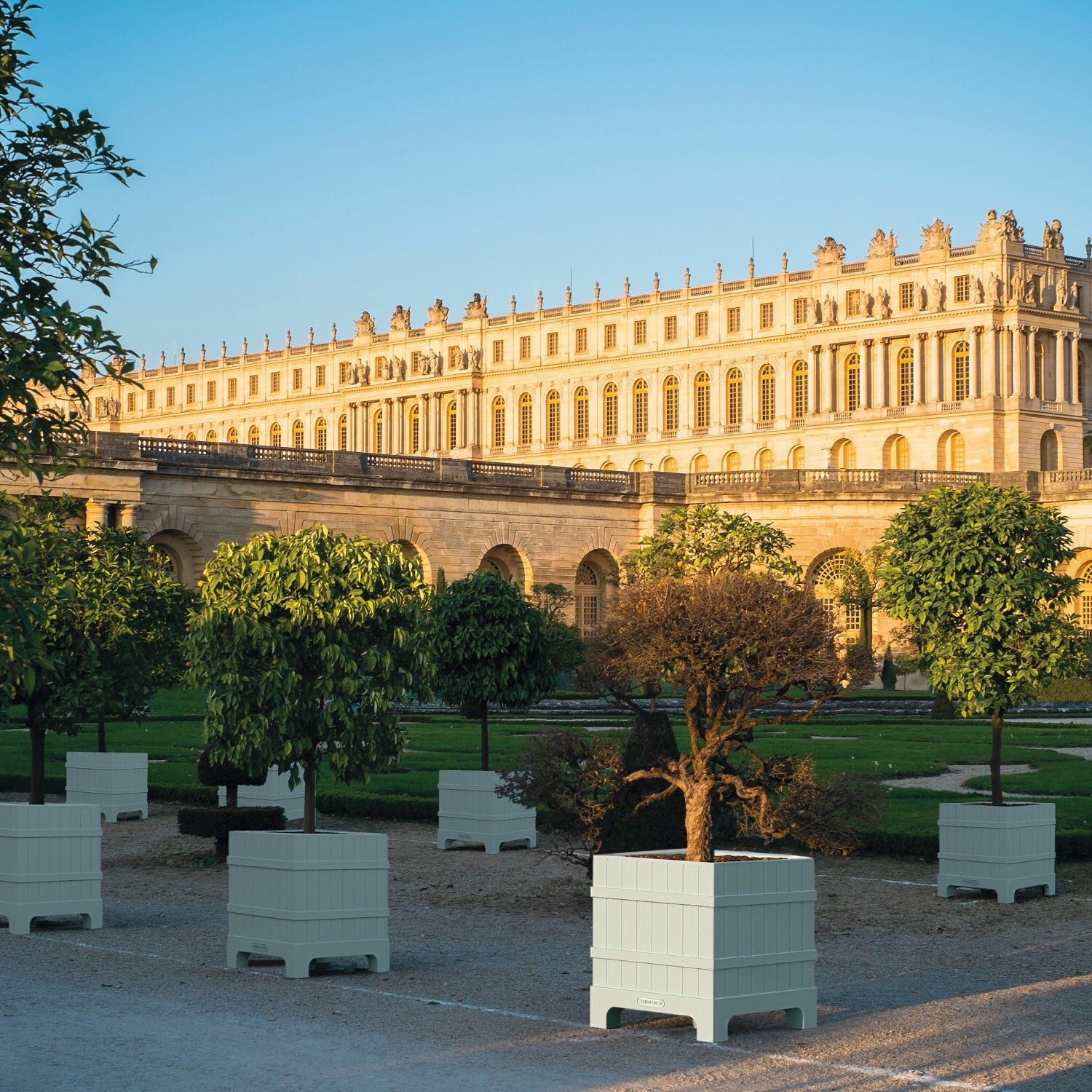 Versailles Planter by Serralunga Planters Square