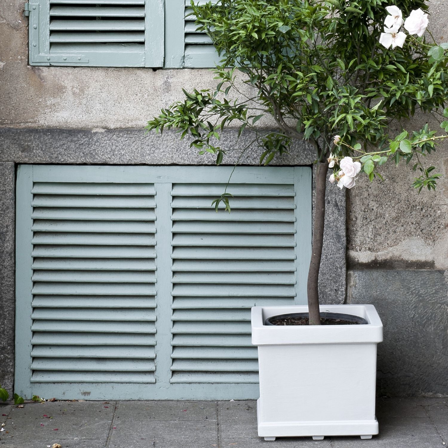 Neoclassic Quadro Liscio Planter by Serralunga Planters